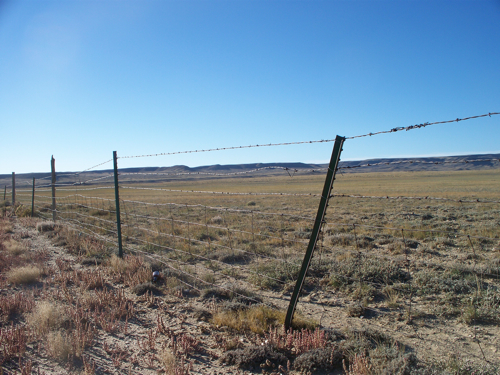 Old, delapidated fence